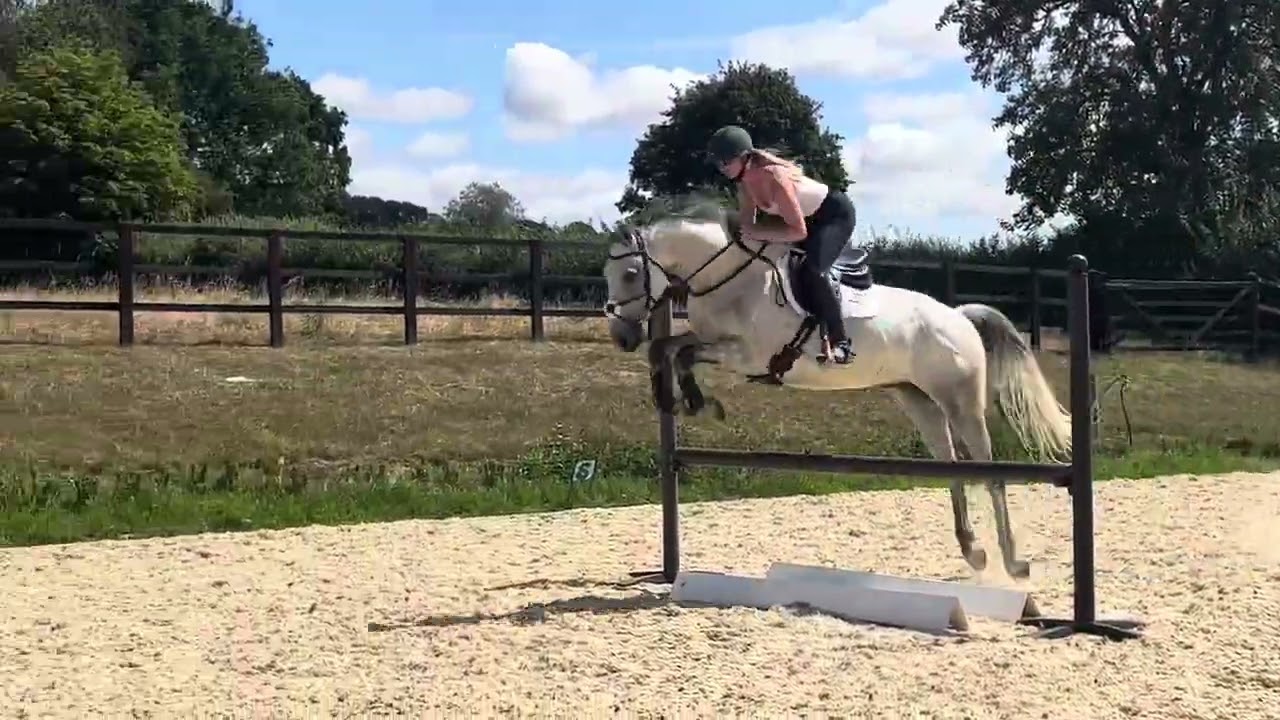 For sale - Max