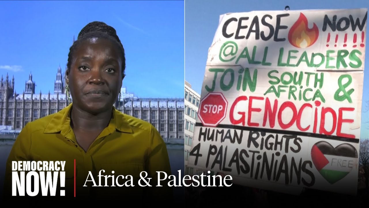 Colonialism, Occupation & Apartheid: African Countries See 