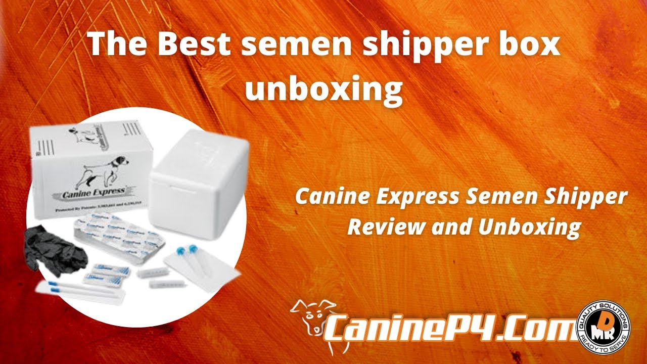 Canine Express Sperm Shipper | Unboxing the best semen shipper box