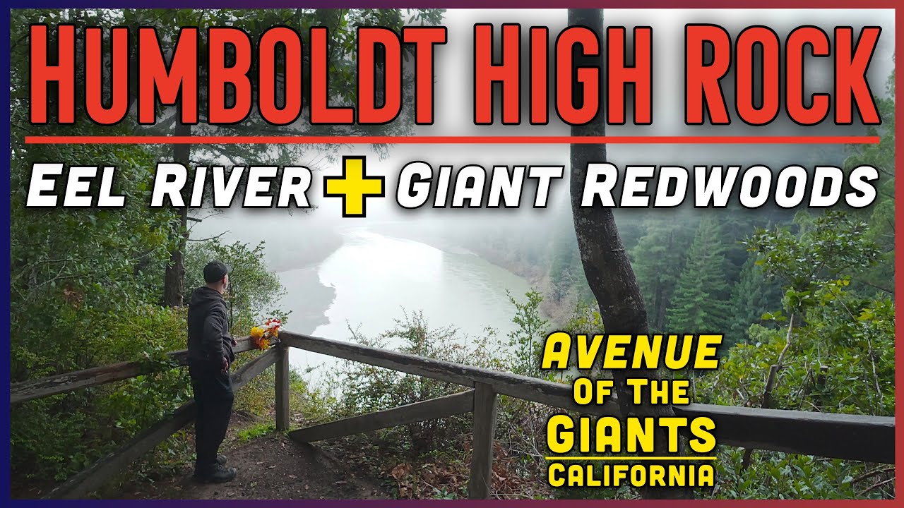 Avenue of the GIANTS | High Rock Trail along the Eel River - California