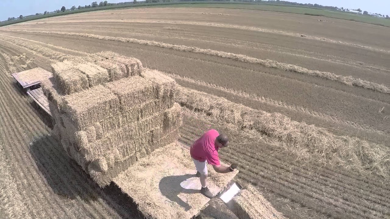 wheat harvest and straw baling 2015