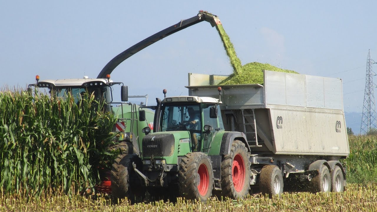 Fendt Katana 65 - Trinciato mais 2018