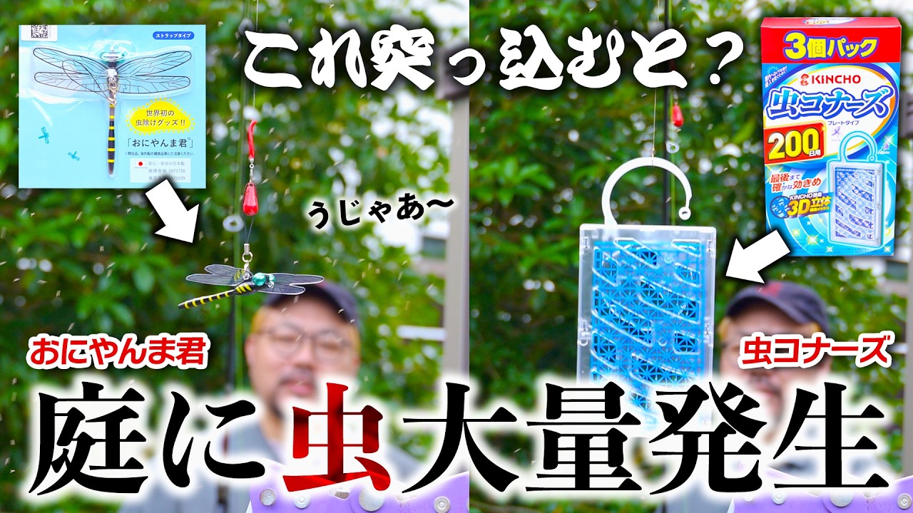 庭に虫が大量発生したので『おにやんま君』とコストコで売ってた専用『虫コナーズ』で撃退してみた