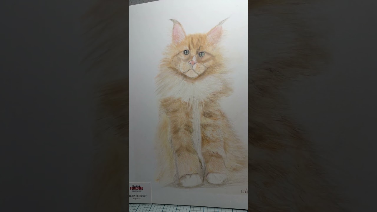 Malibu ritratto a matite colorate su commissioni sono disponibile “ vally il ritratto che respira “