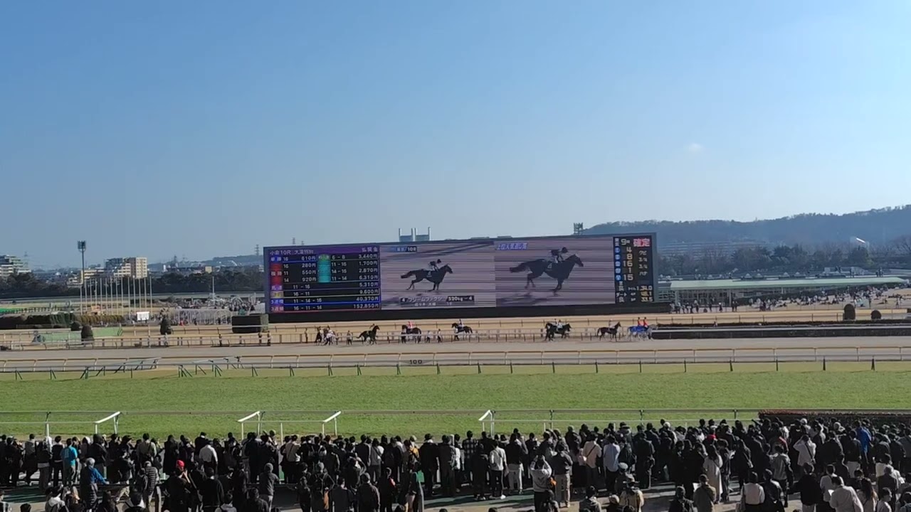 ２０２６バレンタインステークス本馬場入場#国生さゆり#バレンタイン・キッス