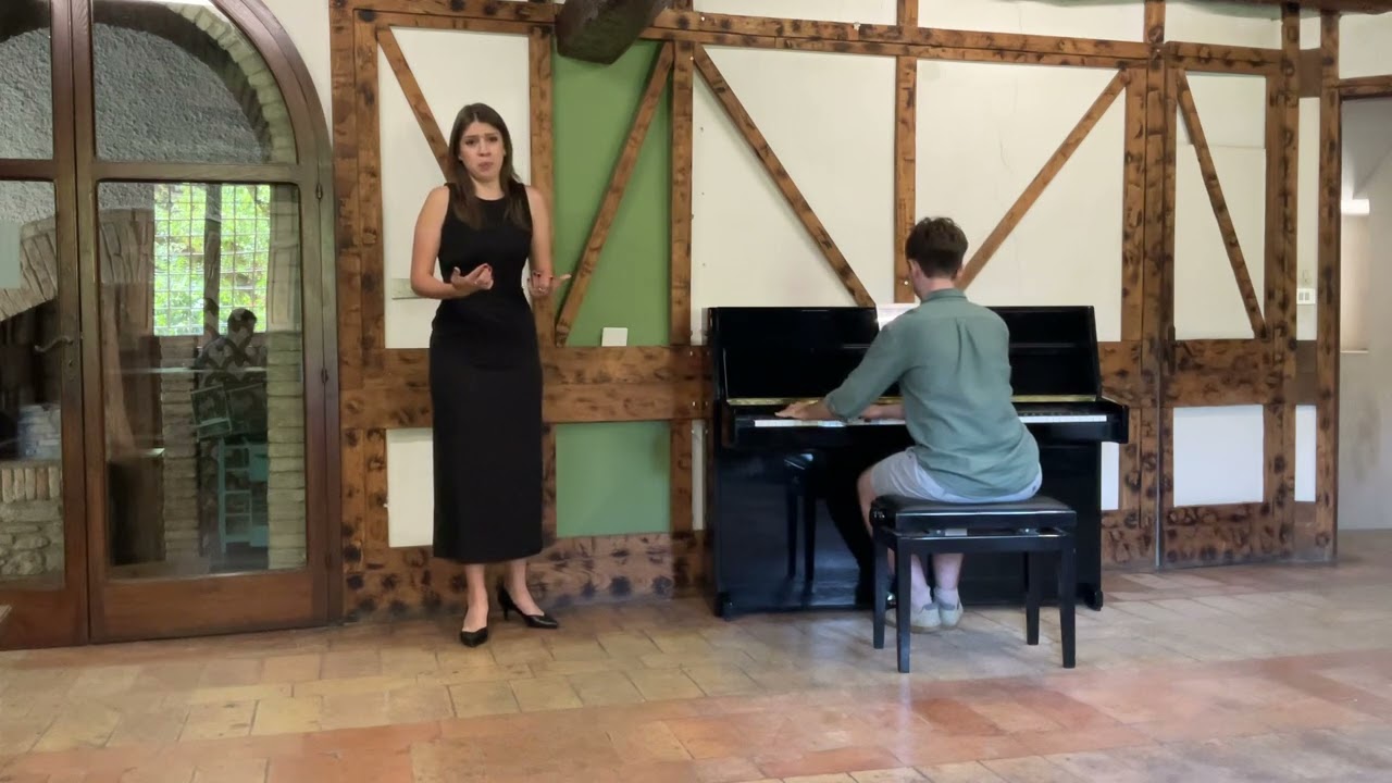 Va! Laisse  Couler mes larmes. Opera Werther from Jules Massenet. Mezzosoprano: Sarah Migliori