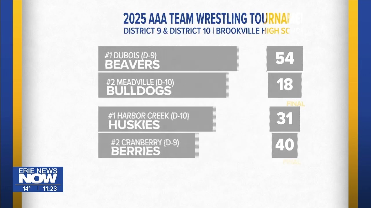 Results from D-10 AA and AAA Wrestling Championships