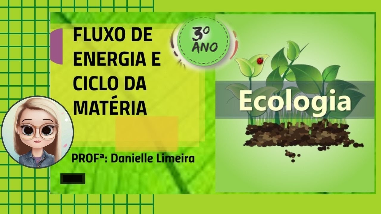 FLUXO DE ENERGIA E CICLO DA MATÉRIA