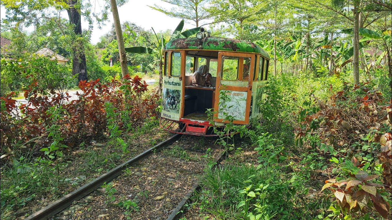 JALUR KERETA BERBAHAYA ANTAR PROVINSI DITENGAH HUTAN JATI PENUH SEMAK BELUKAR !