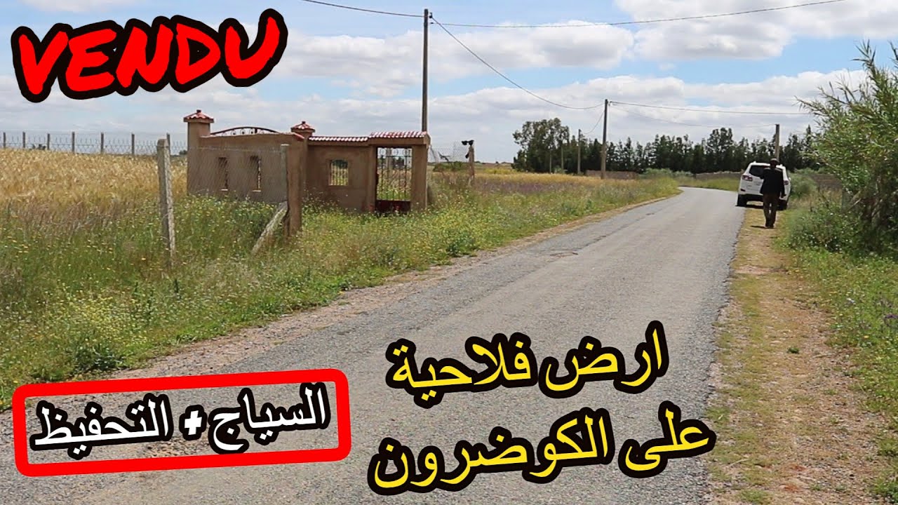 Terrain Agricole a Vendre Maroc - ارض فلاحية 6 هكتارات محفظة على الكوضرون اكثر من رائعة بتيفلت