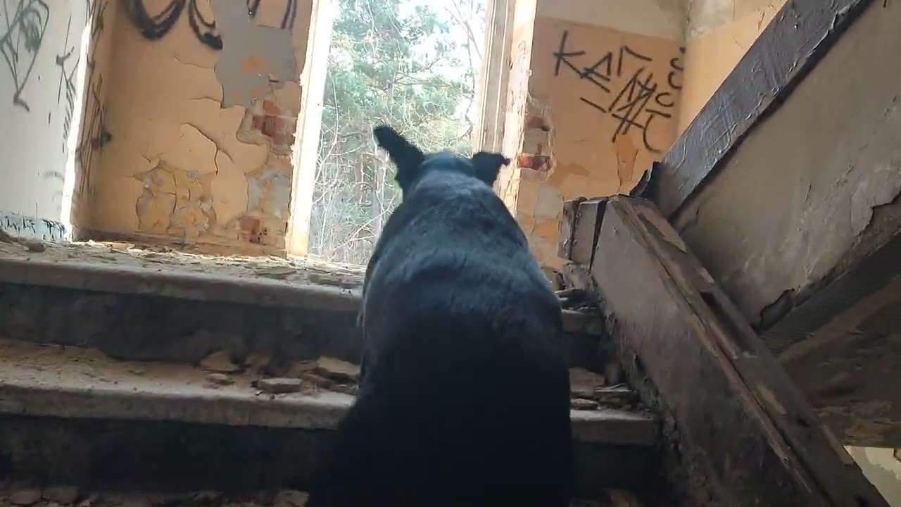08.02.2025 Żary byłe koszary.
