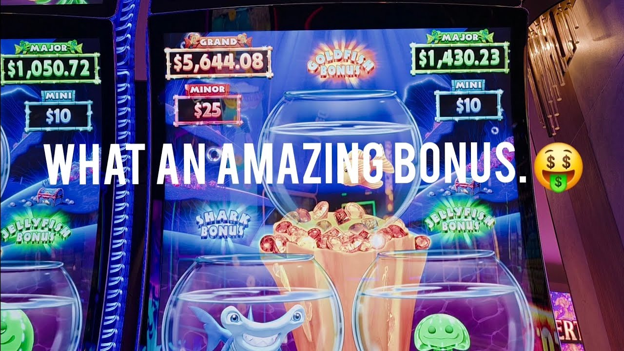 What An Amazing BONUS. 🤑🤗👍