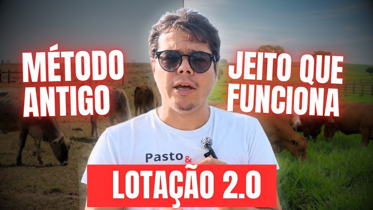 Quanto gado no pasto? A Conta que Funciona na Prática (Te ensinaram errado)