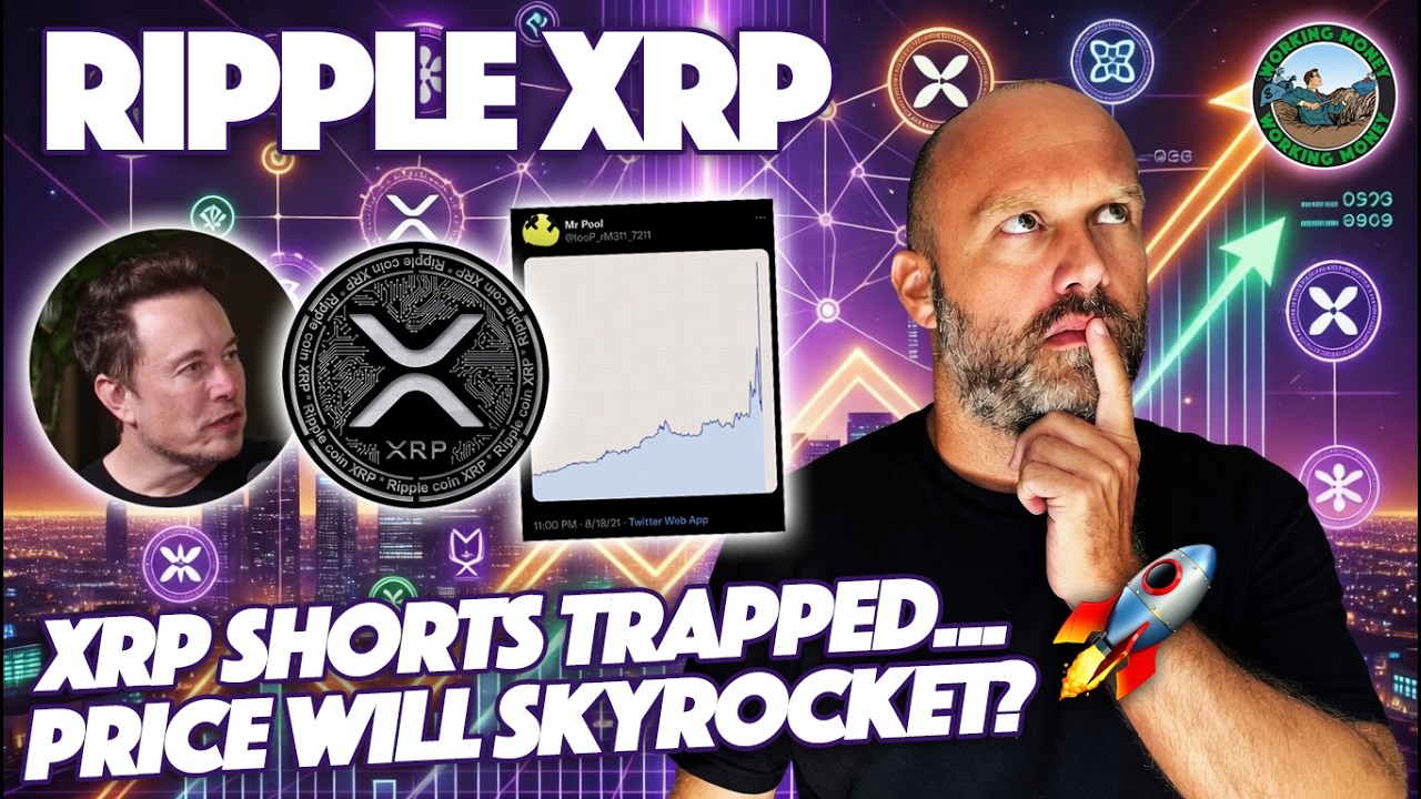 Ripple XRP: Предсказал ли Mr Pool траекторию цены XRP, показав, что случилось с Volkswagen?