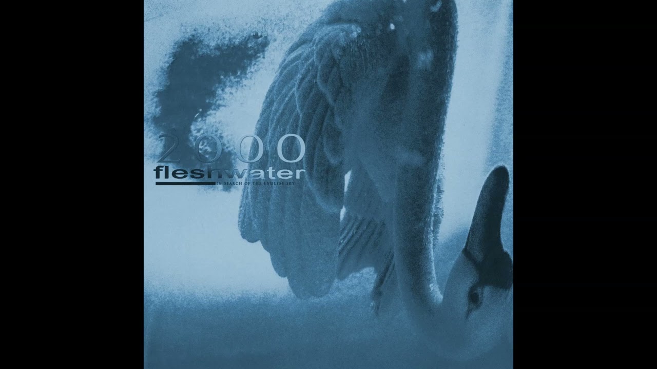 Fleshwater - Be Your Best (slowed)
