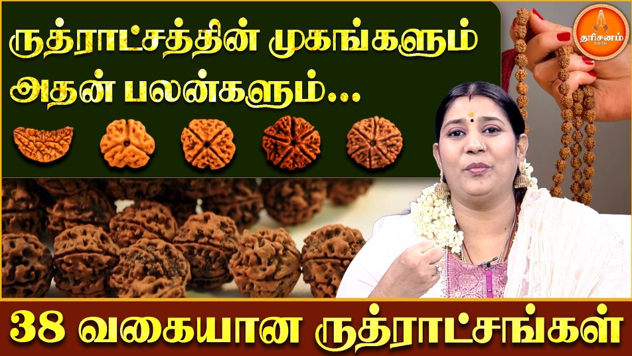 38 வகையான ருத்ராட்சங்கள்.. யார் யார் எந்தெந்த ருத்ராட்சம் அணிந்தால் என்னென்ன பலன்கள் உண்டாகும்..?