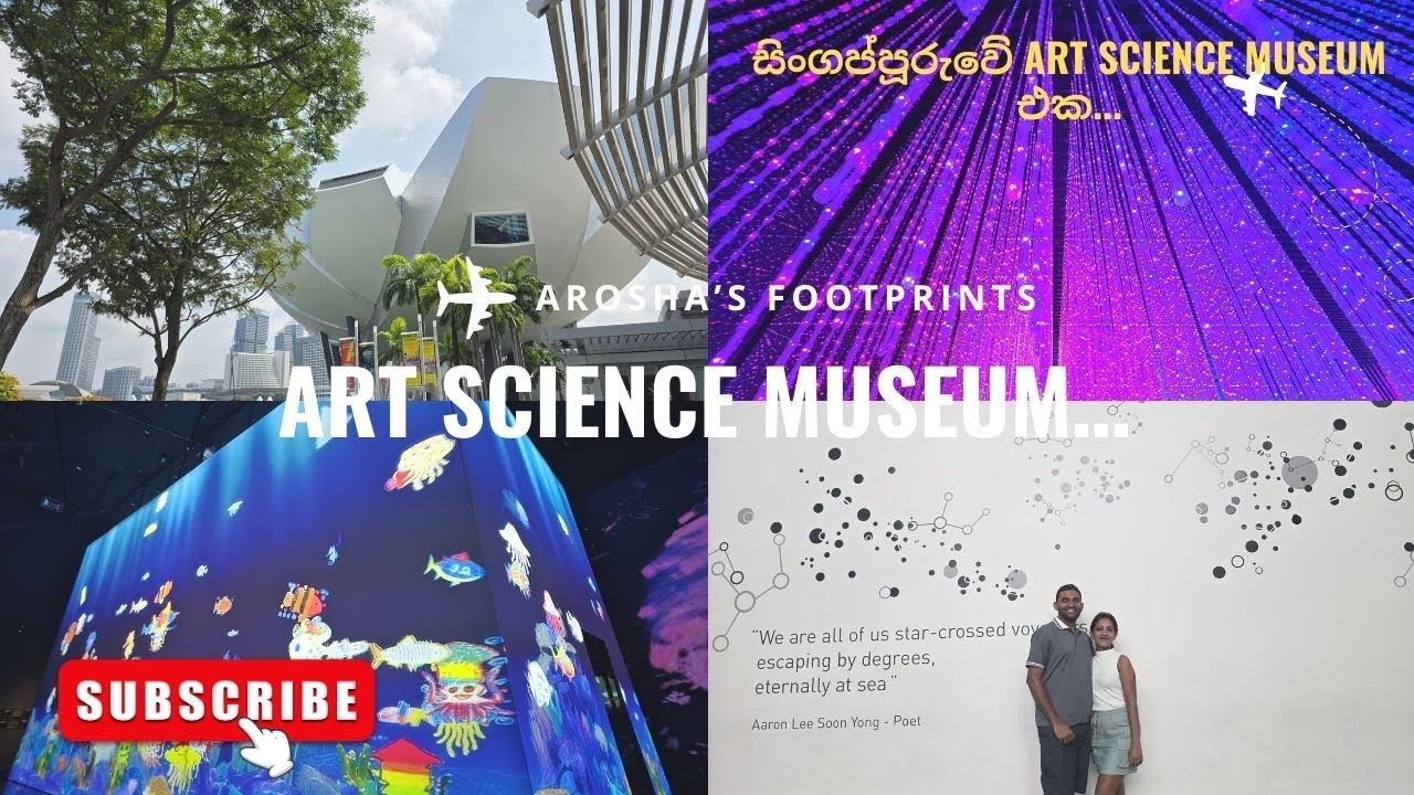 සිංගප්පූරුවේ අපි ගියපු ආසම හිතෙන තැනක්... | Singapore Art Science Museum...❤️
