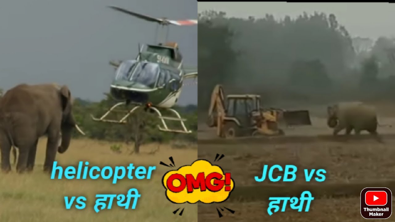 JCB vs Hathi कौन जीतेगा ? Tug of war | JCB vs हाथी fighting ? #jcbviralvideo #jcbvshathi