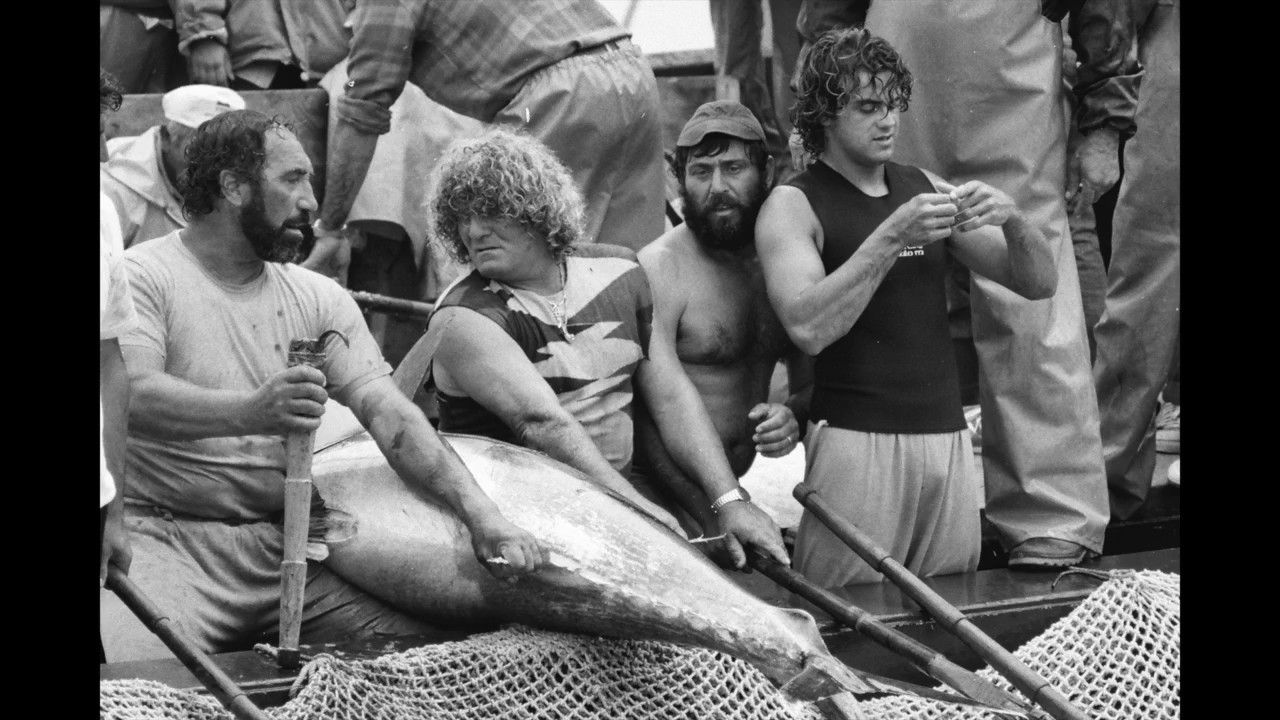 TULLIO FORTUNA - MATTANZA - ISOLA DI FAVIGNANA