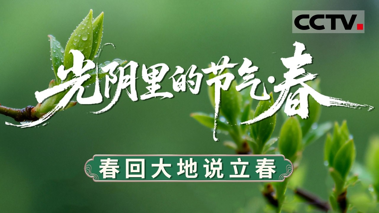 立春以温柔开场 为二十四节气拉开序幕 历经寒冬后送来第一缕春意  是中国人对新春与丰年的深情向往！《百家讲坛》 光阴里的节气·春 1 春回大地说立春 20260217 | CCTV百家讲坛官方频道
