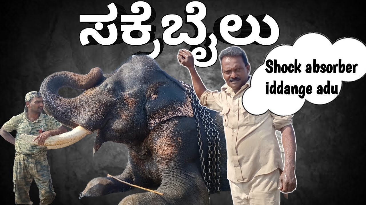 ಇದೇನ್ ಇದು Shock absorber ಇದ್ದಂಗೆ ಇದೆ! 😂 ಸಕ್ರೆಬೈಲು | Troll Video