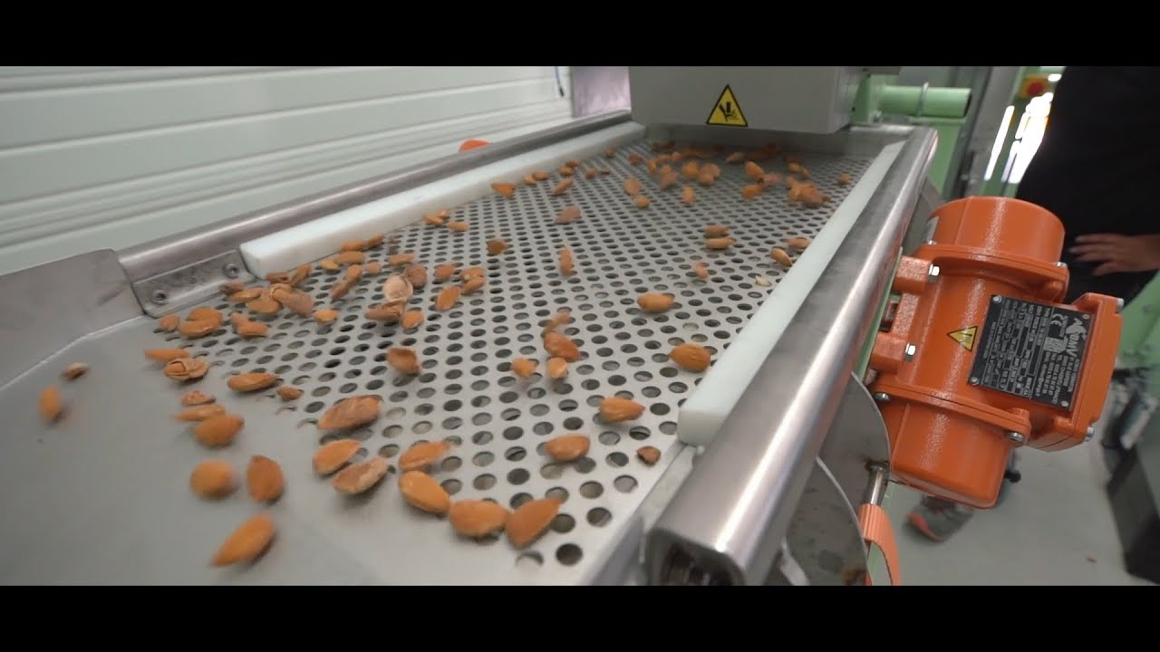 Ligne de séchage, cassage et calibrage de fruits à coques FLDI