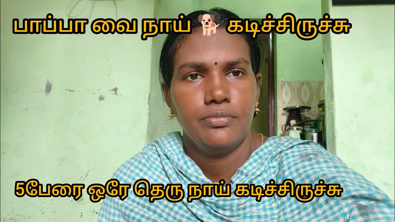 🐕 பக்கத்து வீட்டு பாப்பா வை நாய் கடிச்சிருச்சு@Dharunsuntharfamily 