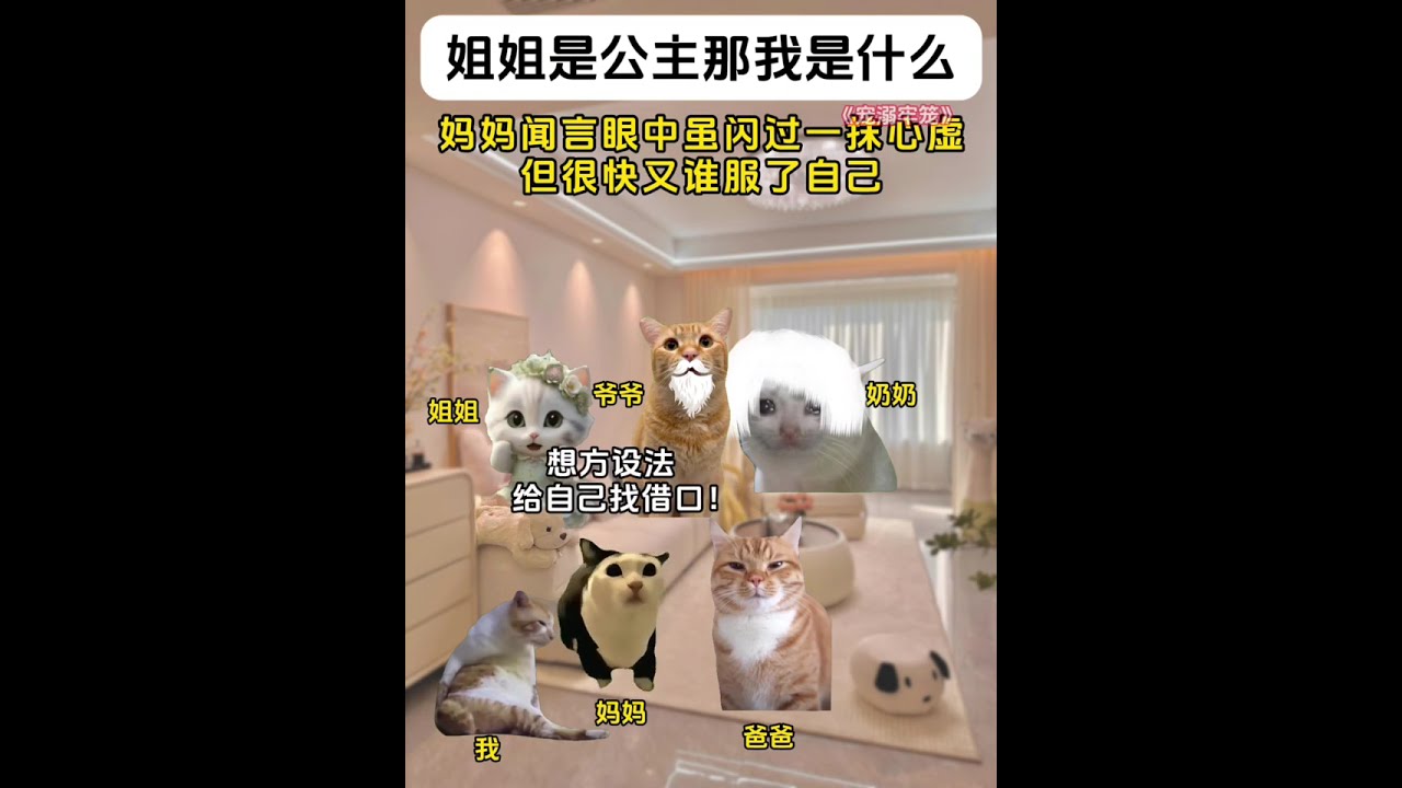 姐姐是公主那我是什么 