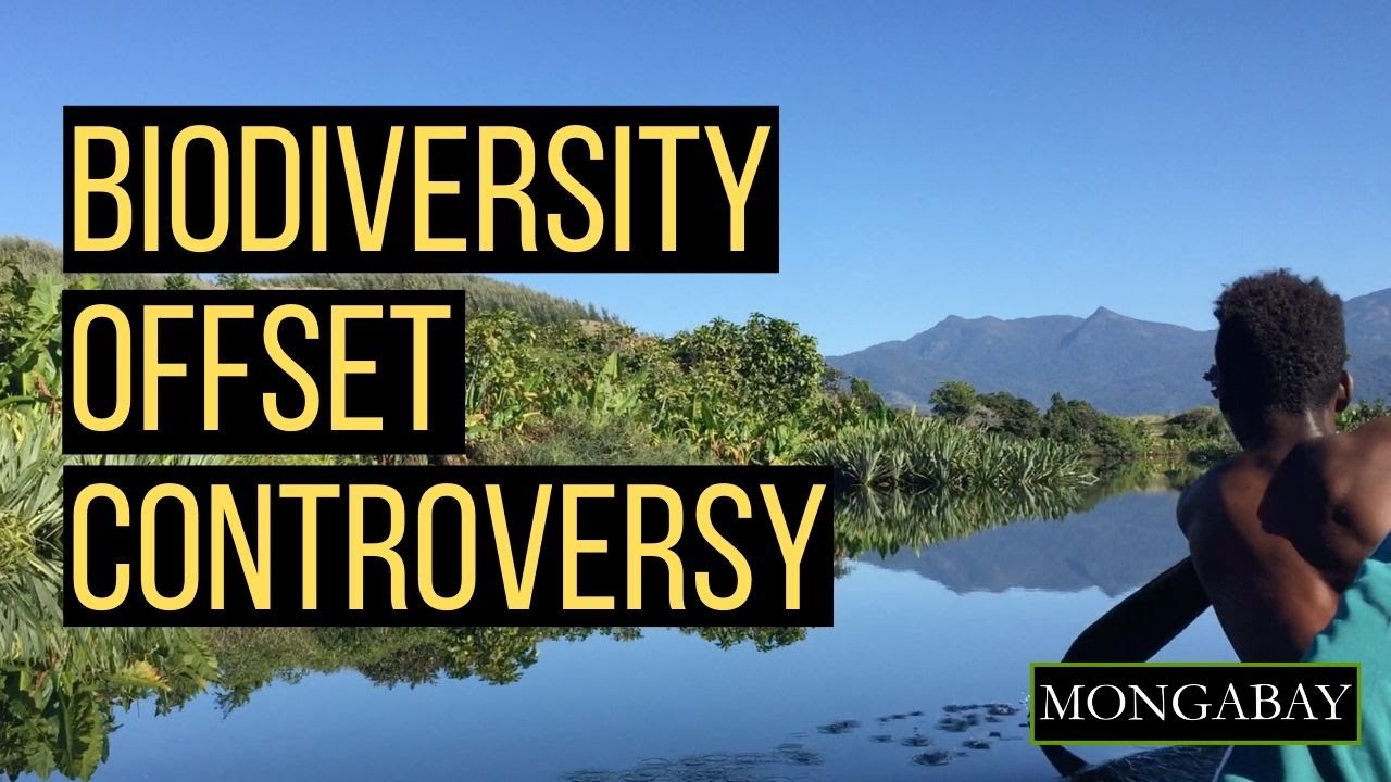 How a mine's biodiversity offset project created controversy in Madagascar