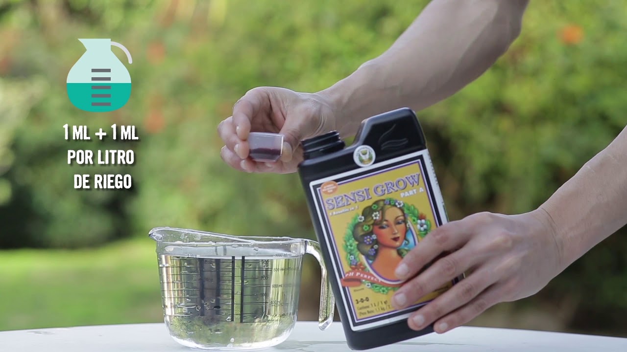 Juani Juana - Advanced Nutrients Tutorial Grow