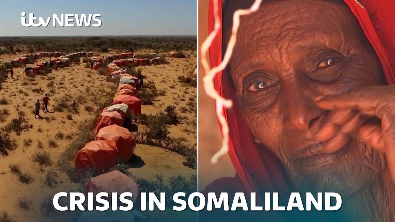 Somaliland, at 'epicentre' of climate crisis, urges UK not to cut more aid in Rageh Omaar interview