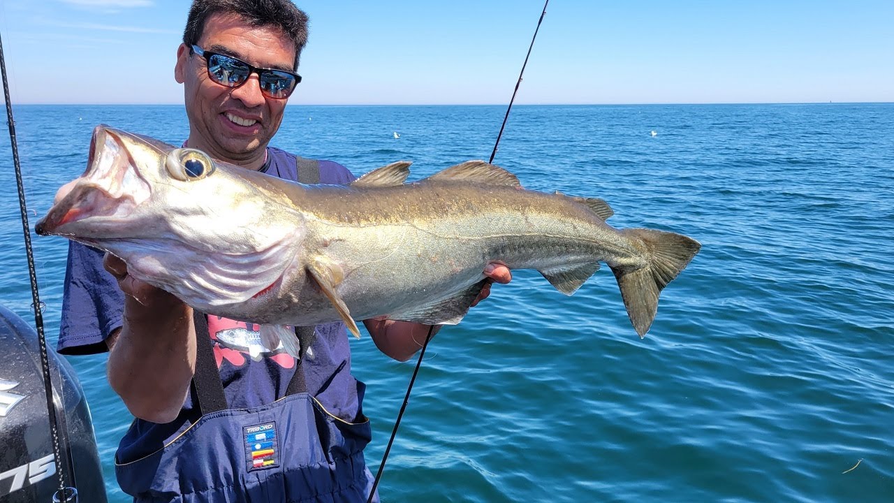 P&Ecirc;CHE Lieu Jaune en Bretagne avec la team PENN