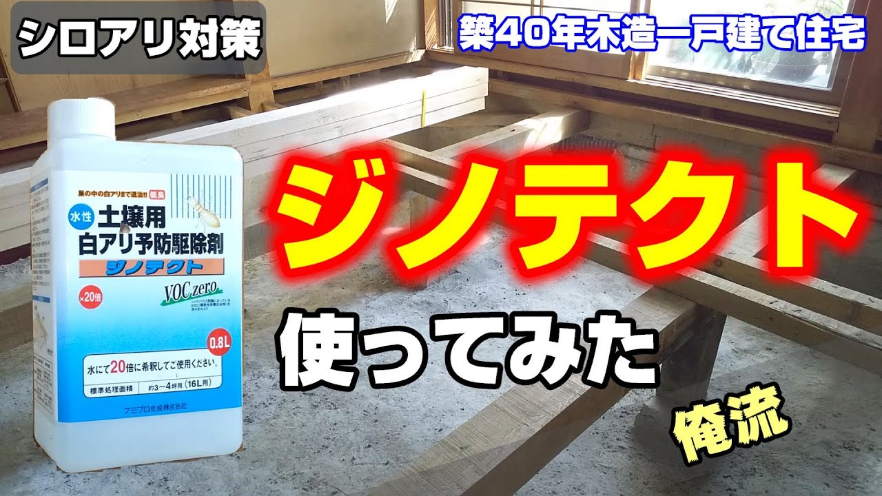 シロアリ駆除にジノテクト【閲覧やや注意】
