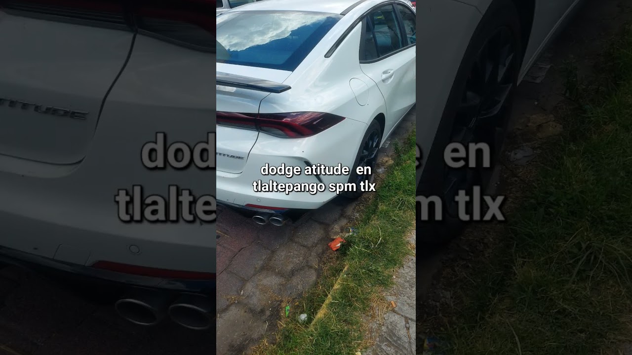 dia#5 buscando un corvette en san Pablo del monte tlaxcala