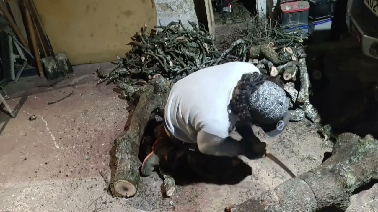 cortando leña de cajico a serrucho 😎😎😎 llenado el leñero poco a poco 🙂🙂🪵🪵🪵