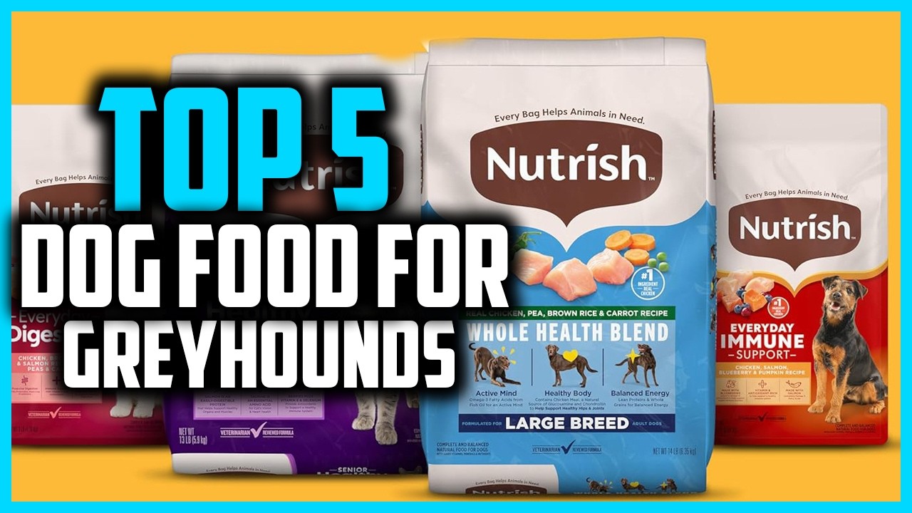 ✅ The 5 Best Dog Food for Greyhounds 2026