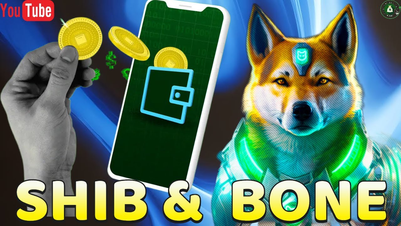Wallet Shibarium SHIB et BONE - Analyse Crypto Fr