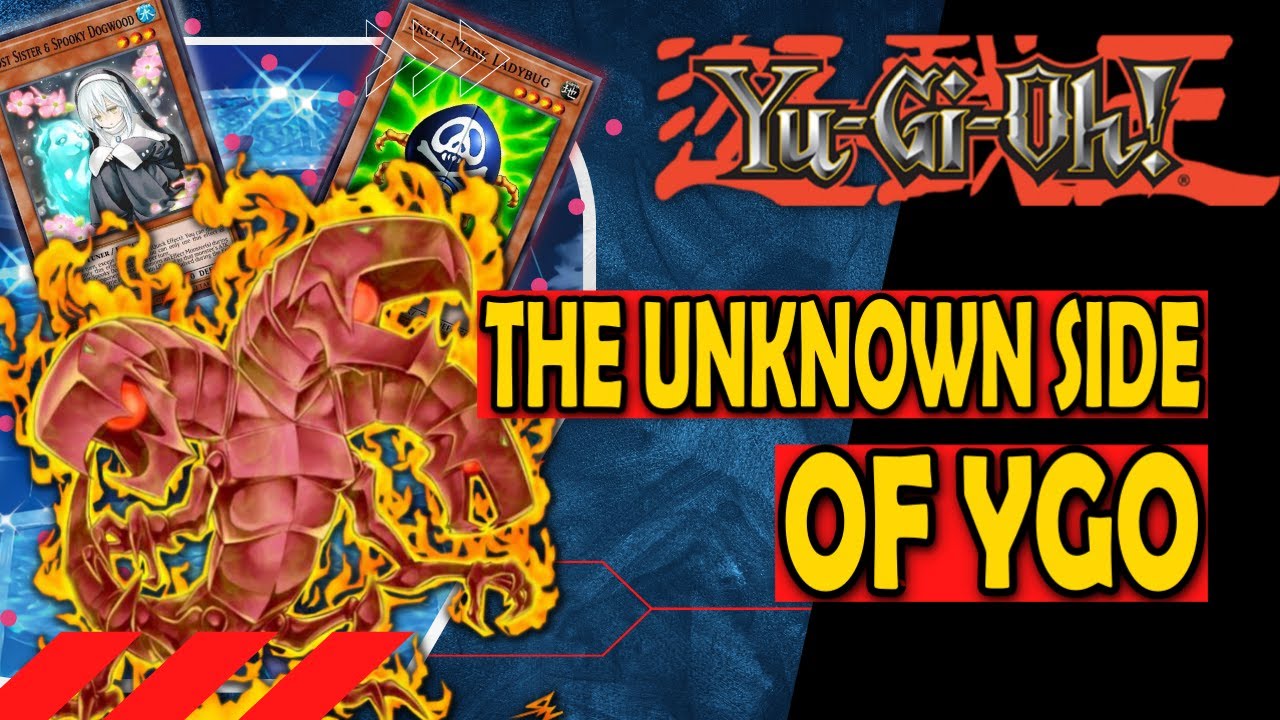 Cards for Quick Life - The Unknown Side of Yugioh