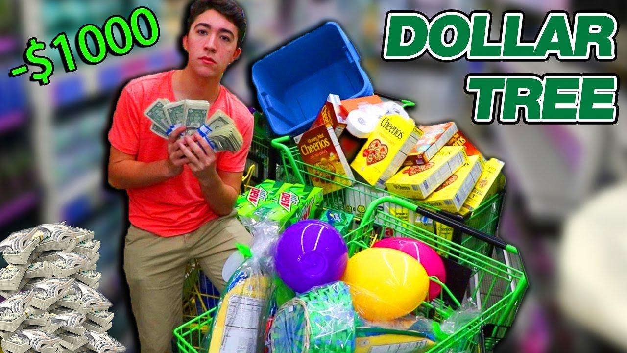 I SPENT 1,000 $1 Bills At The DOLLAR STORE