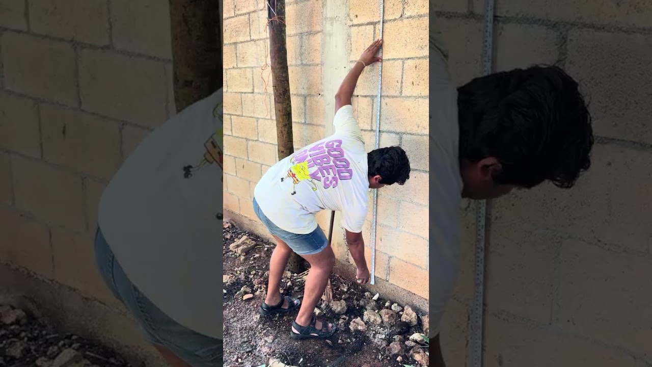 Vamos hacer un gallinero nuevo y más bonito 