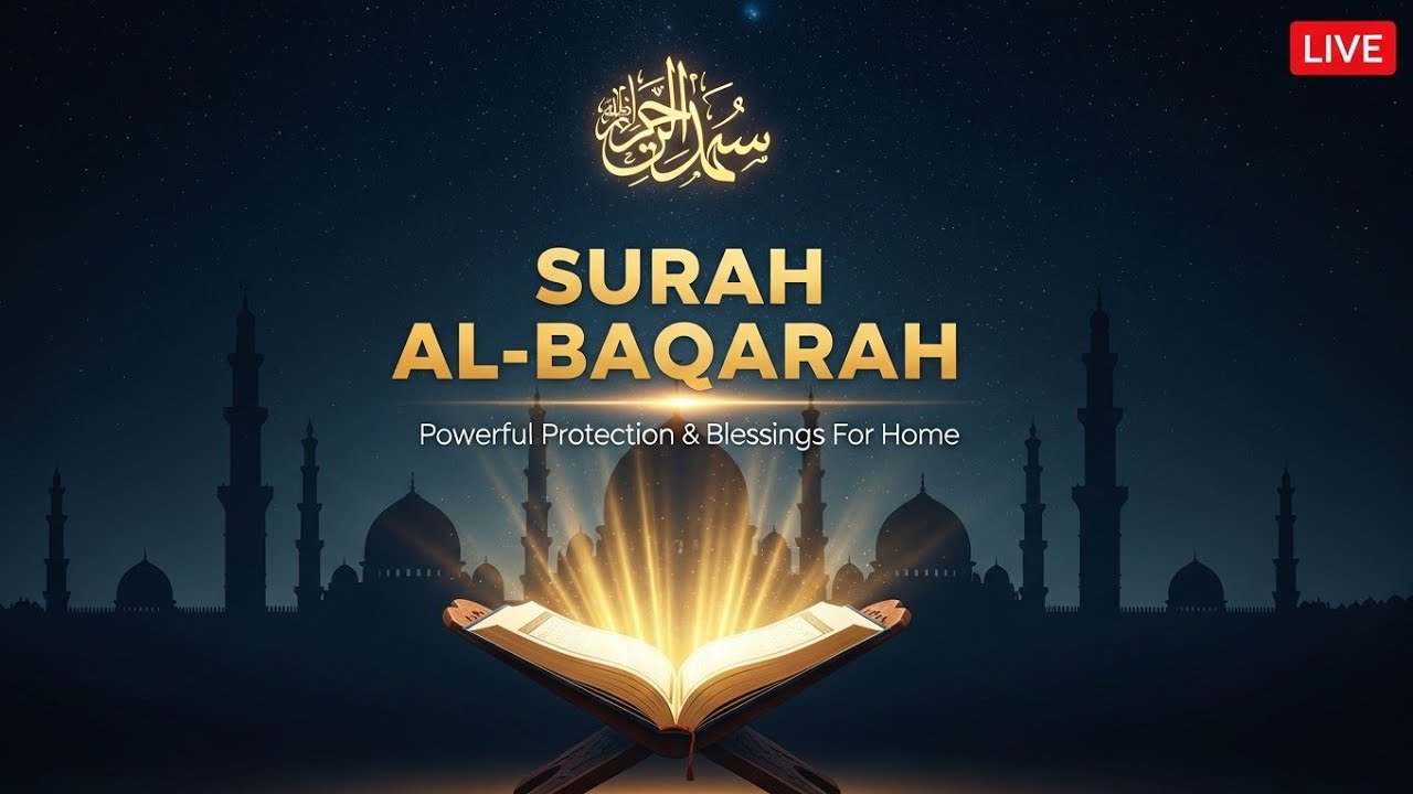 Live Surah Al-Baqarah Tilawat | Quran Live Recitation |  #SurahBaqarah #QuranLive #QuranRecitation