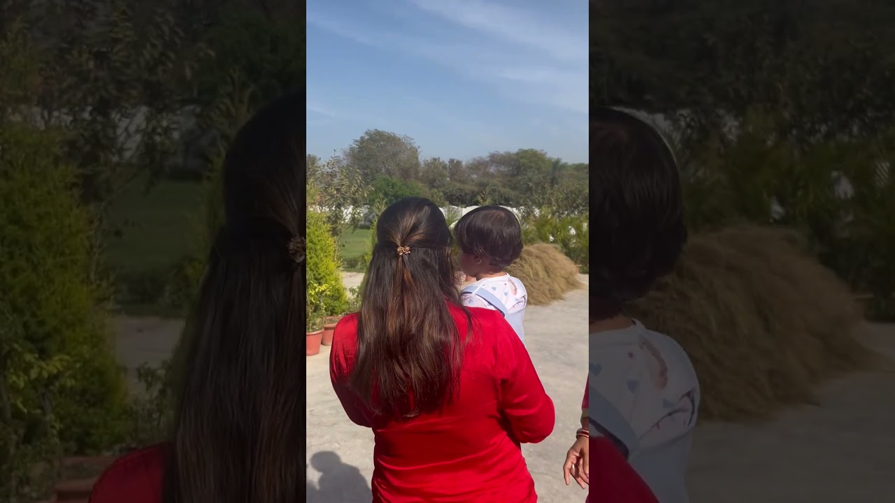 Aaj Tak ki Editer Mausami singh ke ghar se 💃#shorts #short #aajtak #viral #trending #youtubeshorts