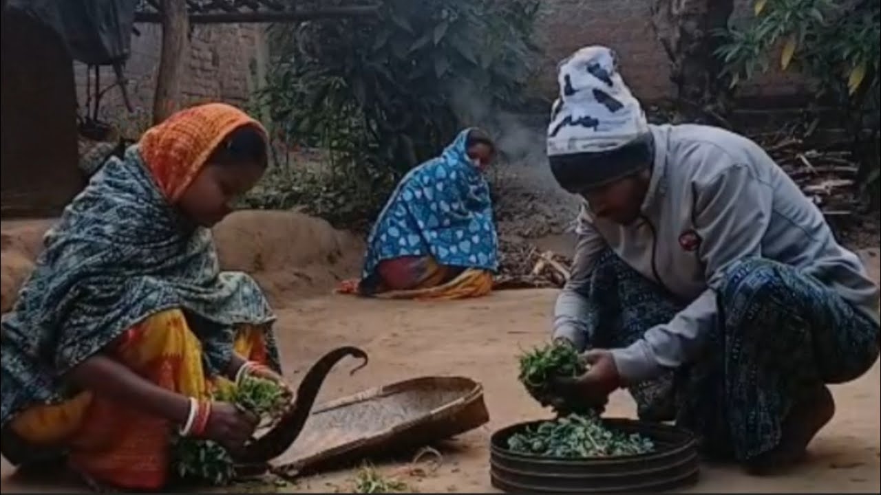 Village Life Cooking Tomatoes Fish And Saag @tusuzupuvlogs 
