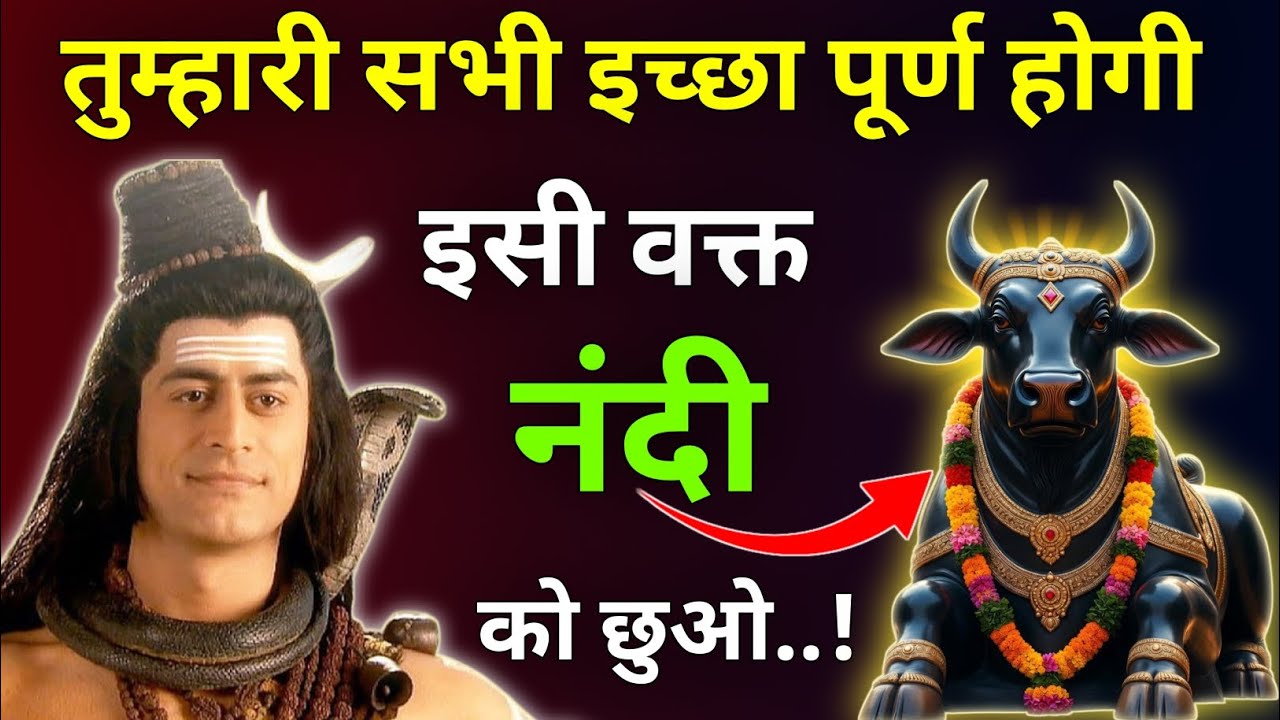 तुम्हारी सभी इच्छा पूर्ण होगी इसी वक्त नंदी को छुओ |Mhadev Updesh |Mhadev Vichar |Mhadev Vani 