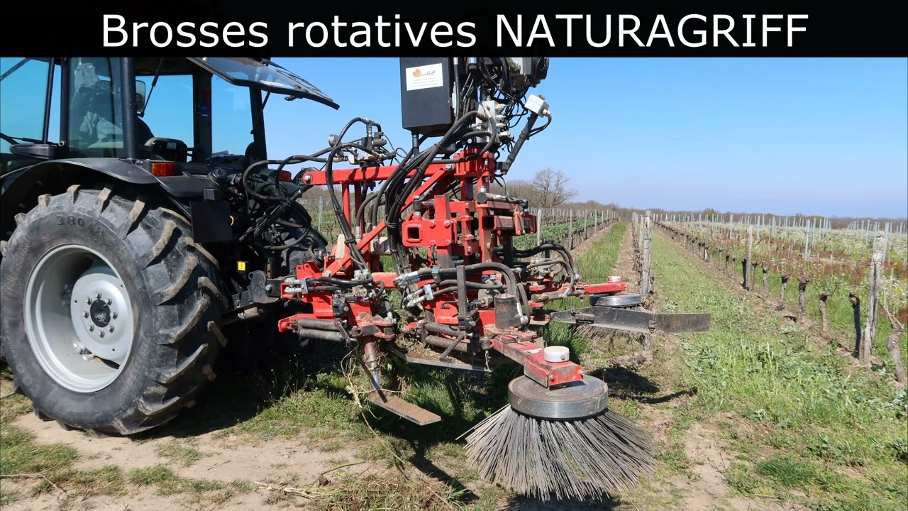 Démonstration désherbage mécanique sous le rang en viticulture