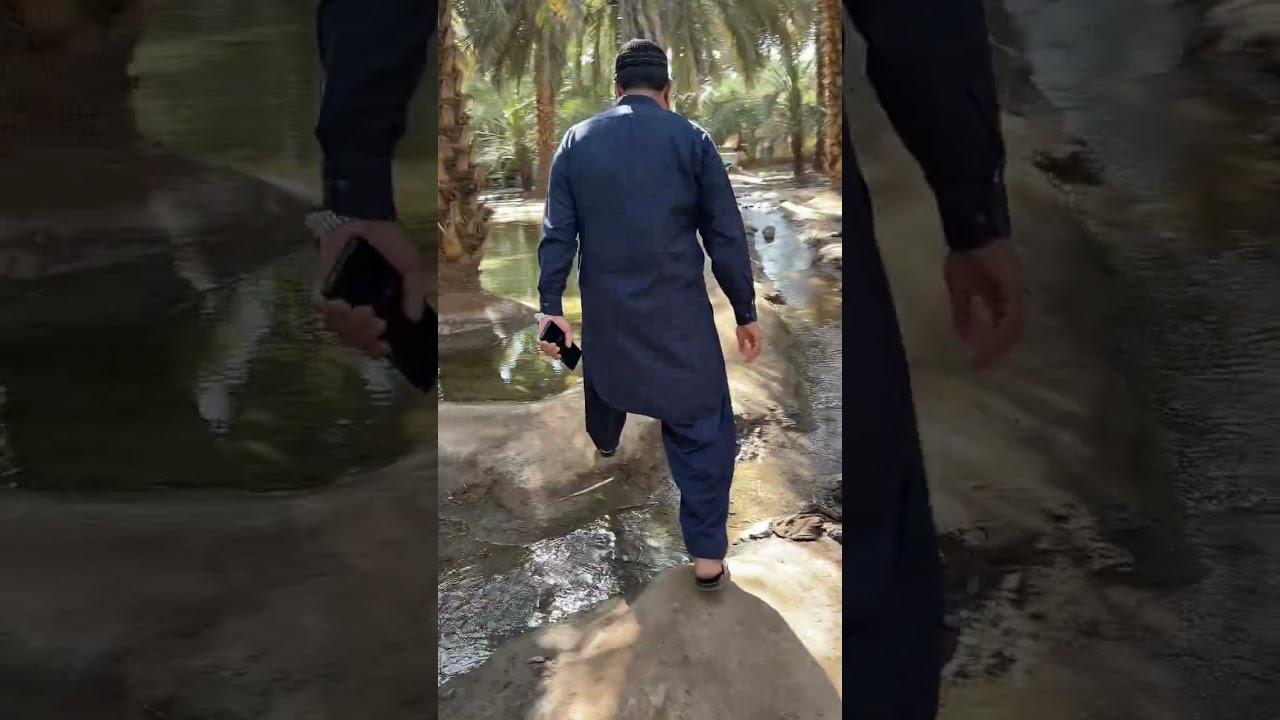 حضرت سلمان فارسی کا کھجوروں کا باغ 