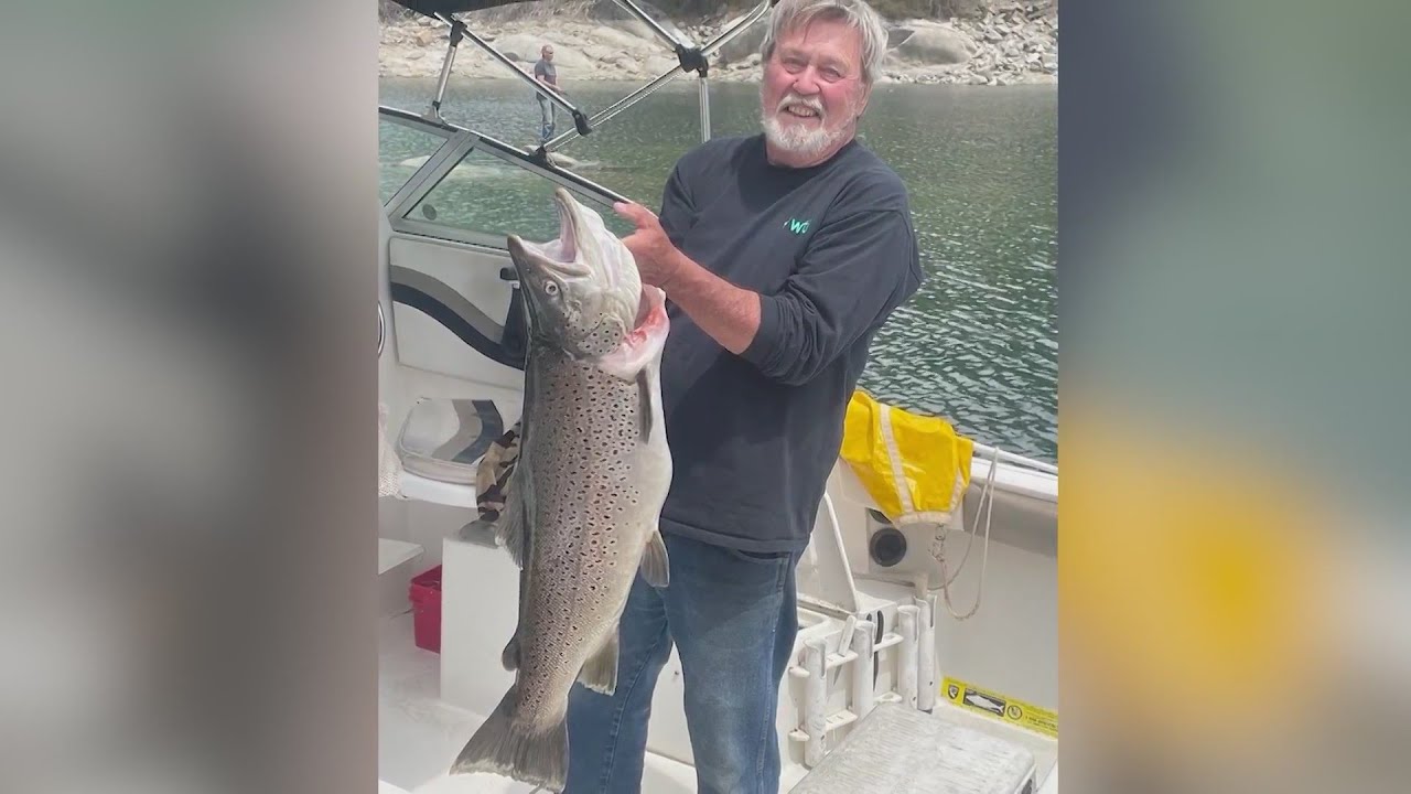 ‘Quite a shock’: Shaver Lake’s largest known brown trout caught