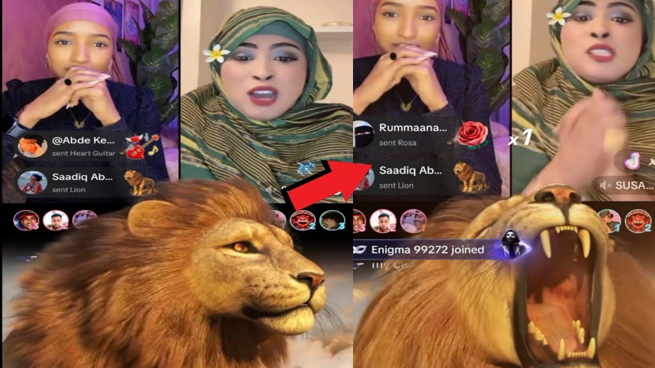 Congira Caaltuu Bagaa irraa Antee Maasha allaa Baay'ee Gammadee