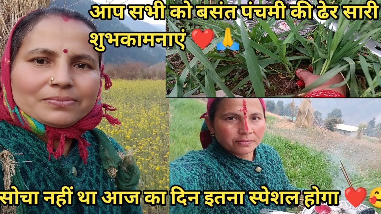 आप सभी को लोकपर्व त्यौहार बसंत पंचमी की ढेर सारी शुभकामनाएं ♥️🙏||Pahadi lifestyle vlogs||