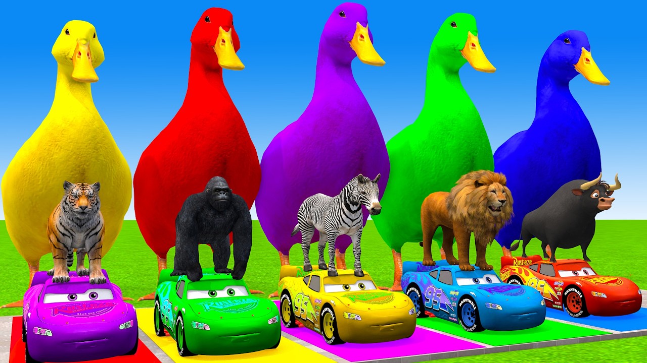 5 Giant Duck Cartoon,Cow,Elephant,Tiger,Lion,Gorilla, Paint Wild Animals Crossing Fountain Animation